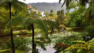 Terra Nostra Gardens, São Miguel Island on a Bunnik Tour of the Azores
