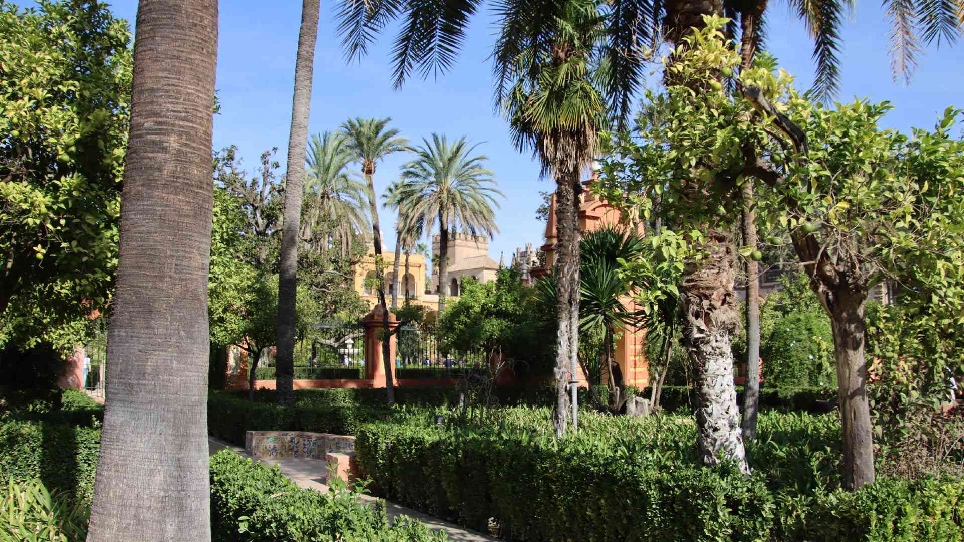 Gardens in the Royal Alcazar, Seville