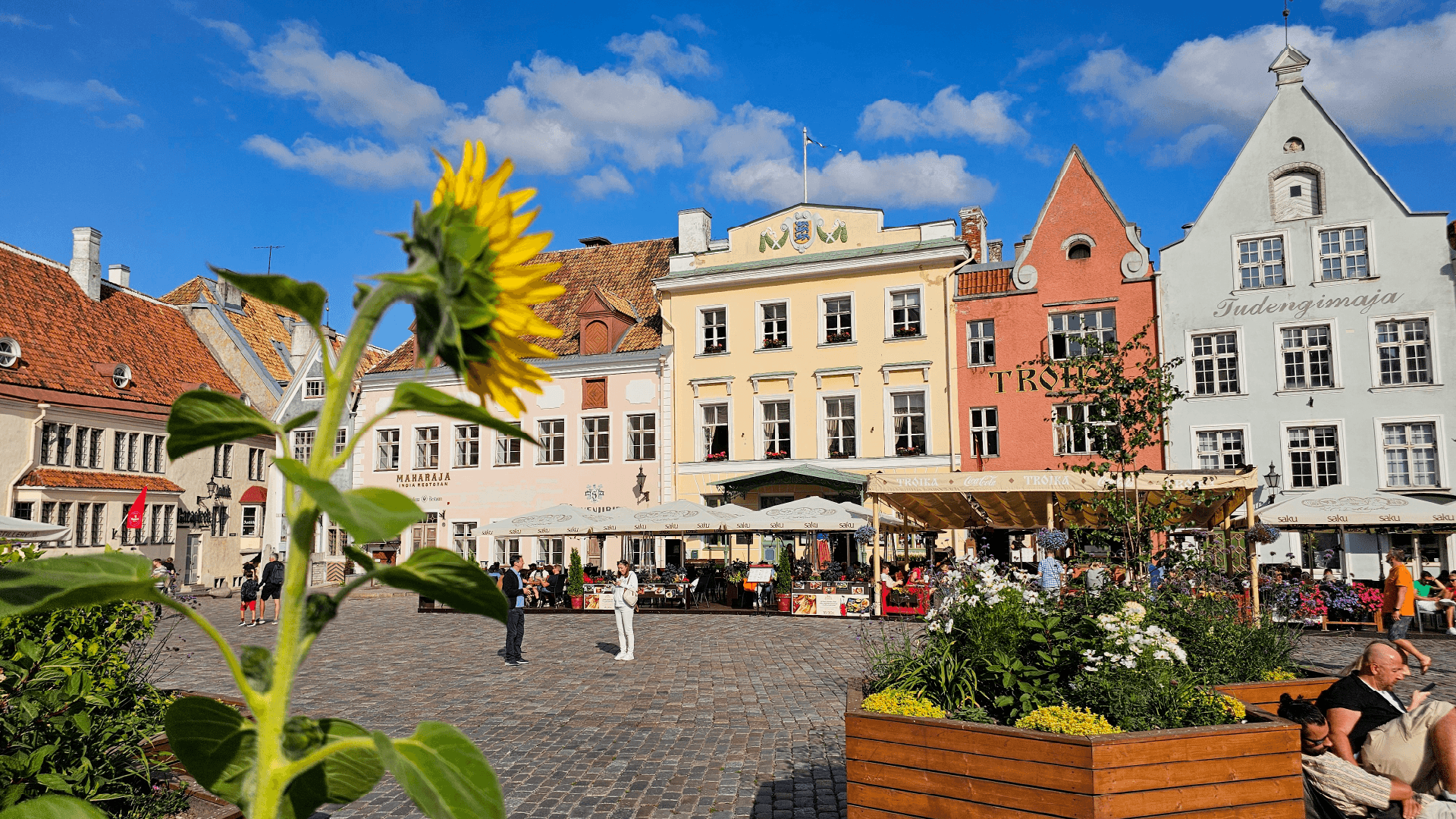 Tallinn, Estonia by Dennis Bunnik