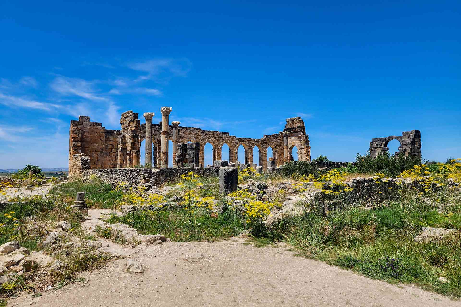 2025 - Morocco - Volubilis - Kathryn Jackson (30)