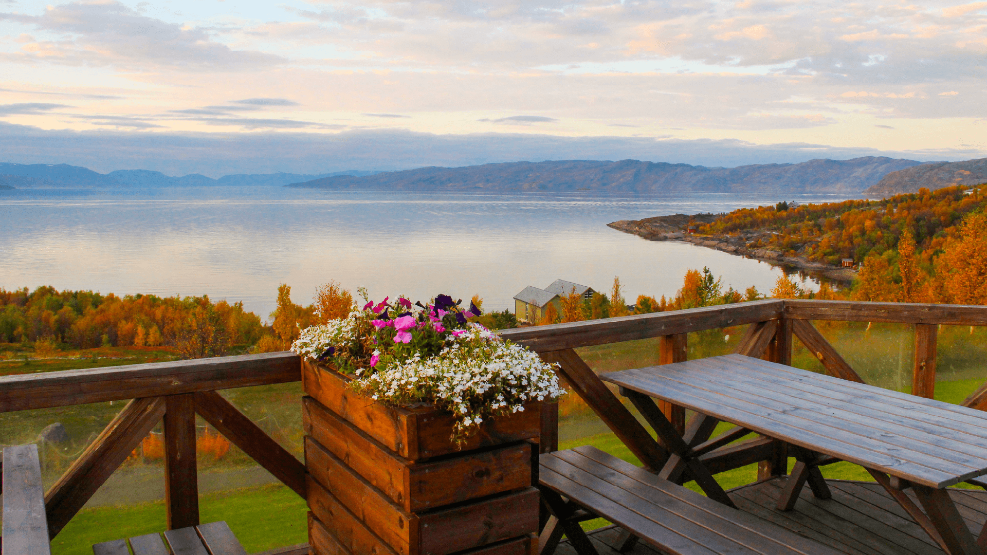 Autumn Colours, Alta, Norway by Megan Pearce