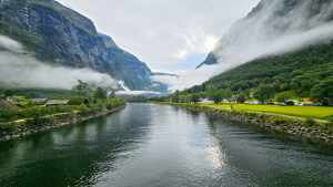 Cruising the Nærøyfjord in Flåm, Norway by Dennis Bunnik