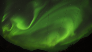 Northern Lights in Norway by Megan Pearce