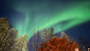 Northern Lights in Norway by Tina Mušič