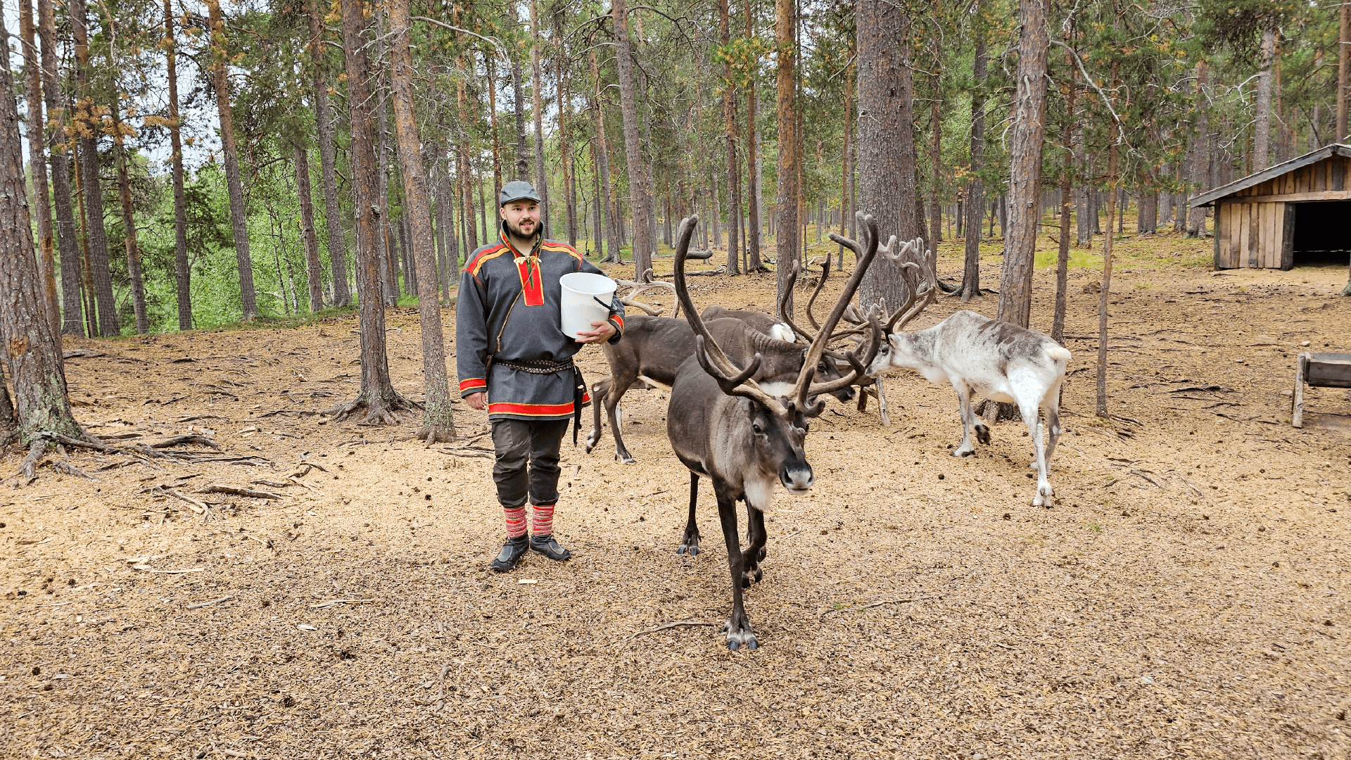 Reindeer Farm, Finland by Dennis Bunnik