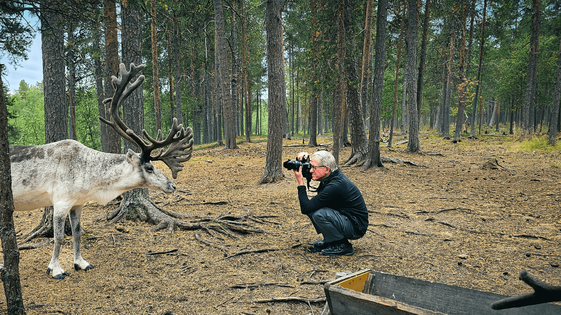 Reindeer Farm, Finland by Dennis Bunnik