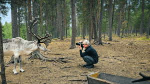 Reindeer Farm, Finland by Dennis Bunnik