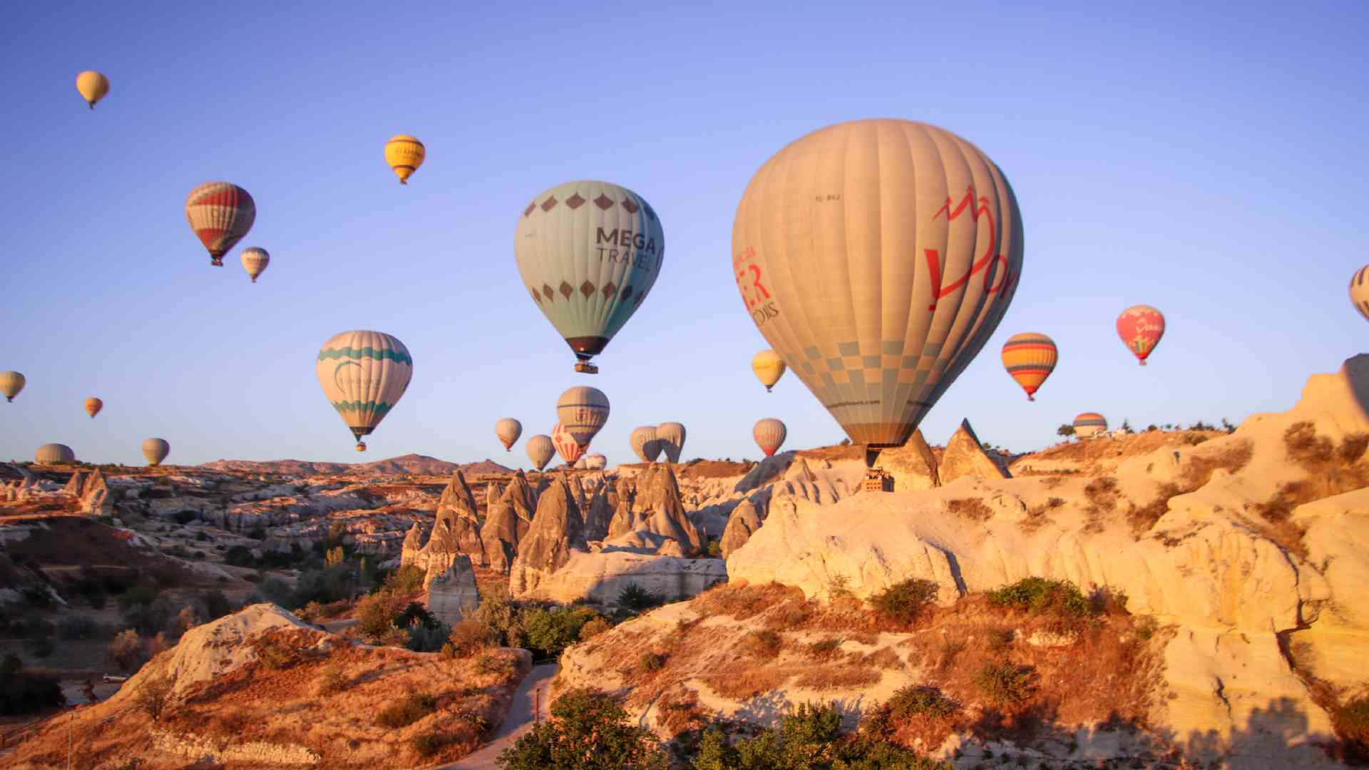 Hot air balloons in Cappadocia on a Bunnik Tour of Türkiye