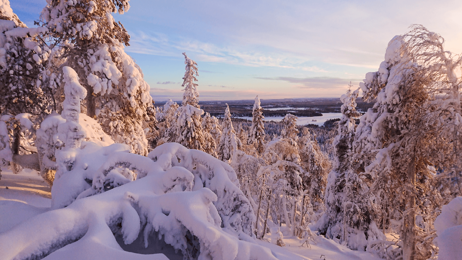 Frozen lake in Finland by Priscilla Aster