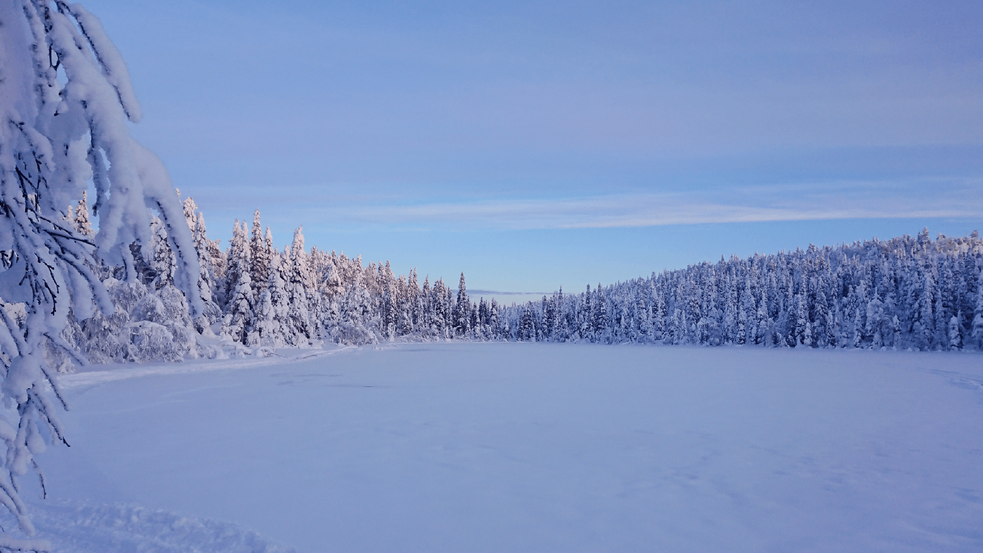 Frozen lake in Finland by Priscilla Aster
