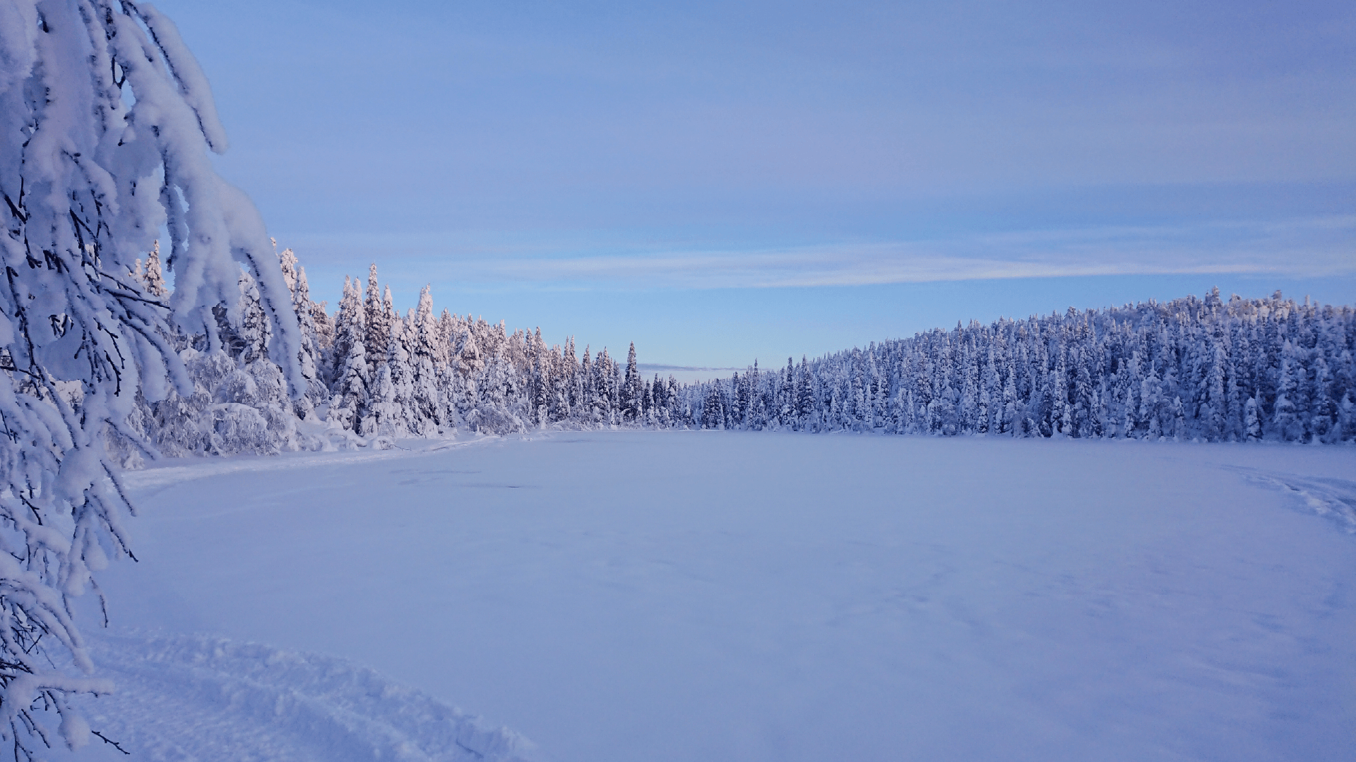 Frozen lake in Finland by Priscilla Aster