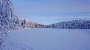 Frozen lake in Finland by Priscilla Aster