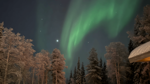 Northern Lights, Finland by Karin Jones