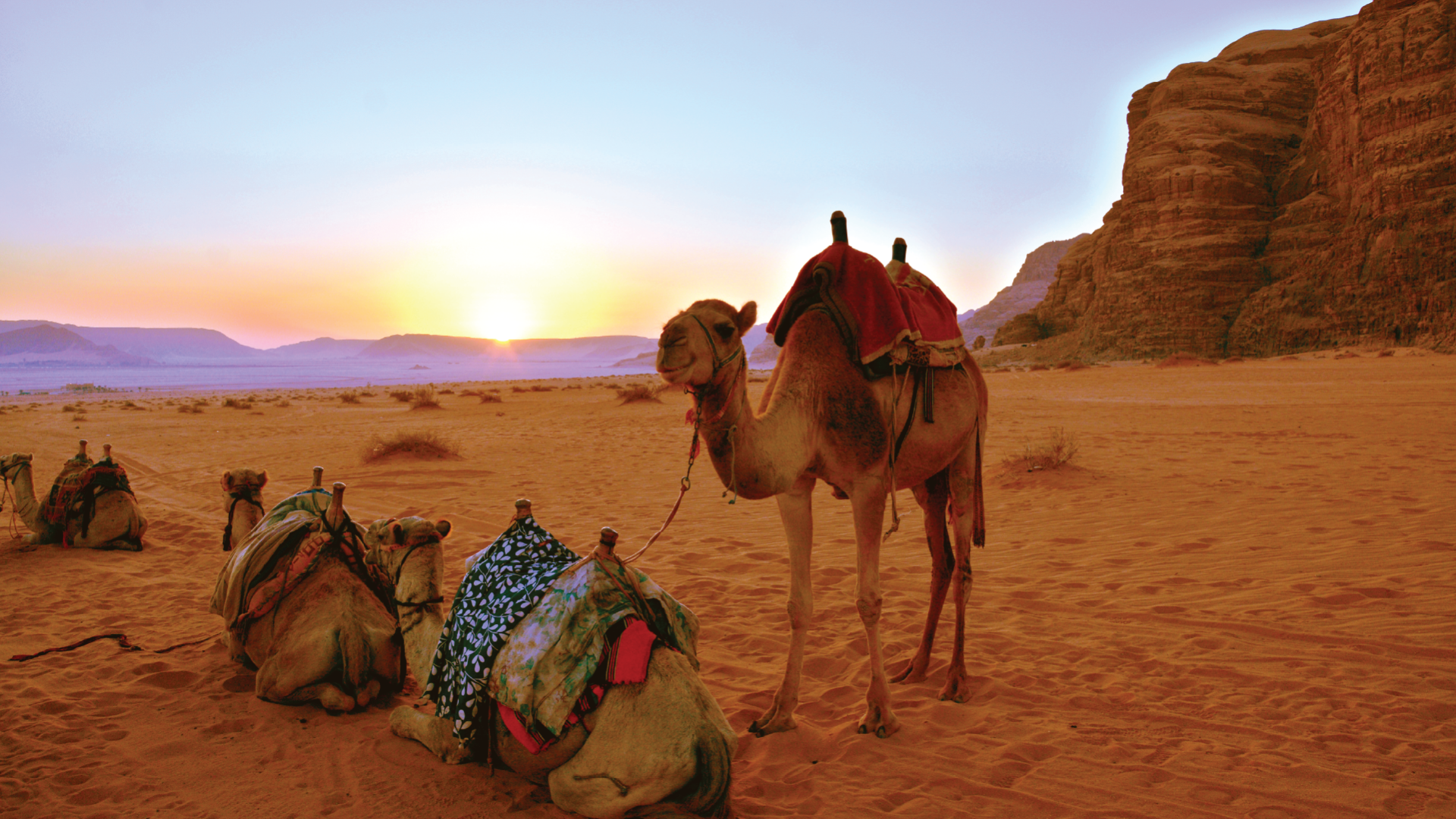 Wadi Rum, Jordan by Victoria Hearn
