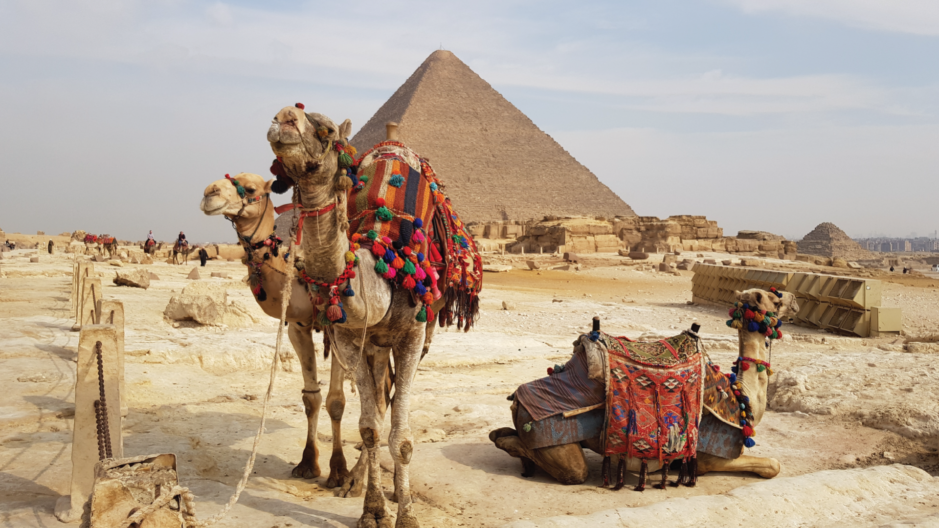 Giza, Egypt by Adam Phillips