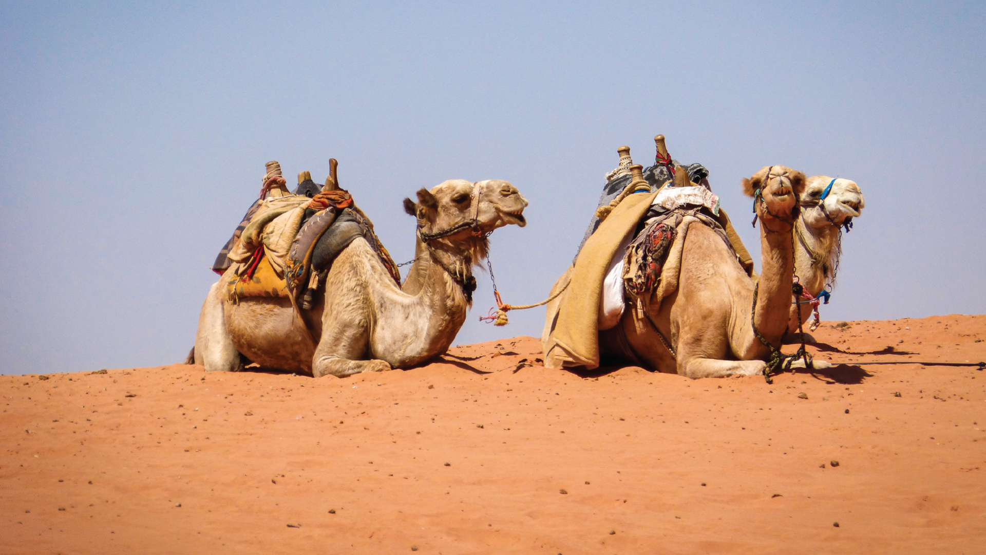 Wadi Rum, Jordan by Sacha Bunnik