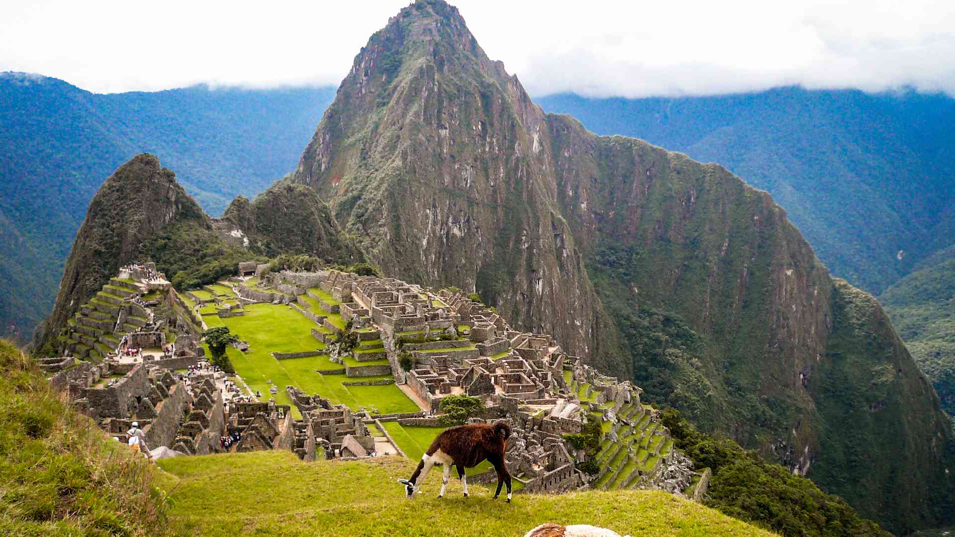 Machu Picchu, Peru by Marion Bunnik