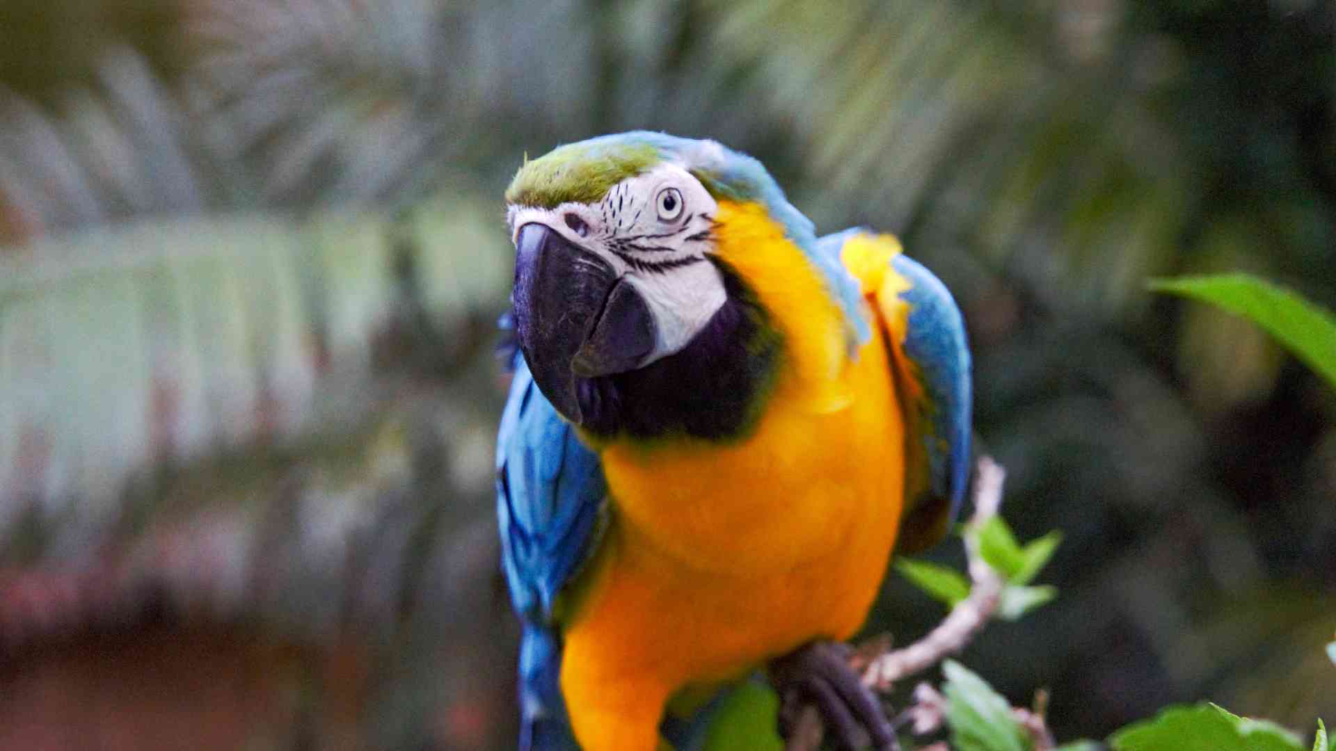 Iquitos, Peru by Matt Baldock