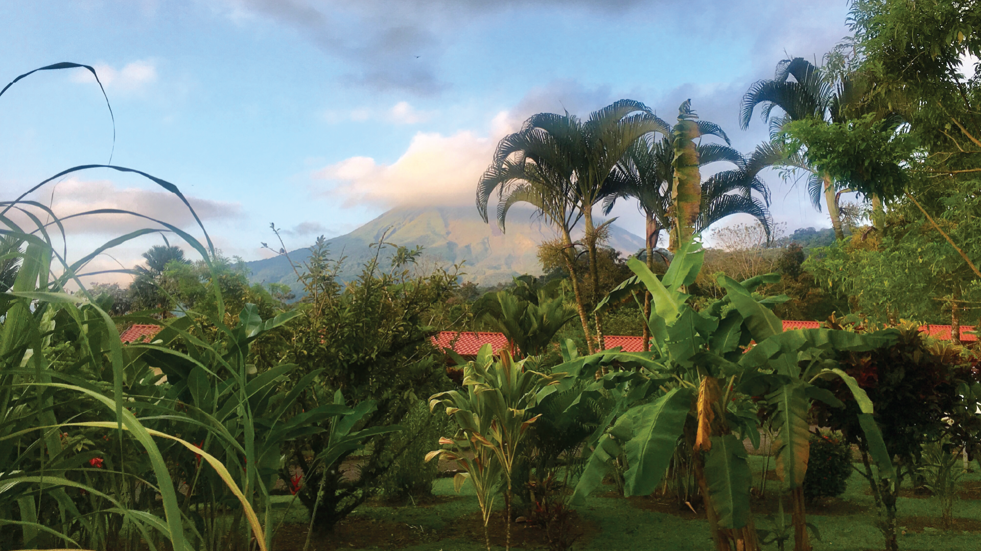 Arenal, Costa Rica by Emily Fraser