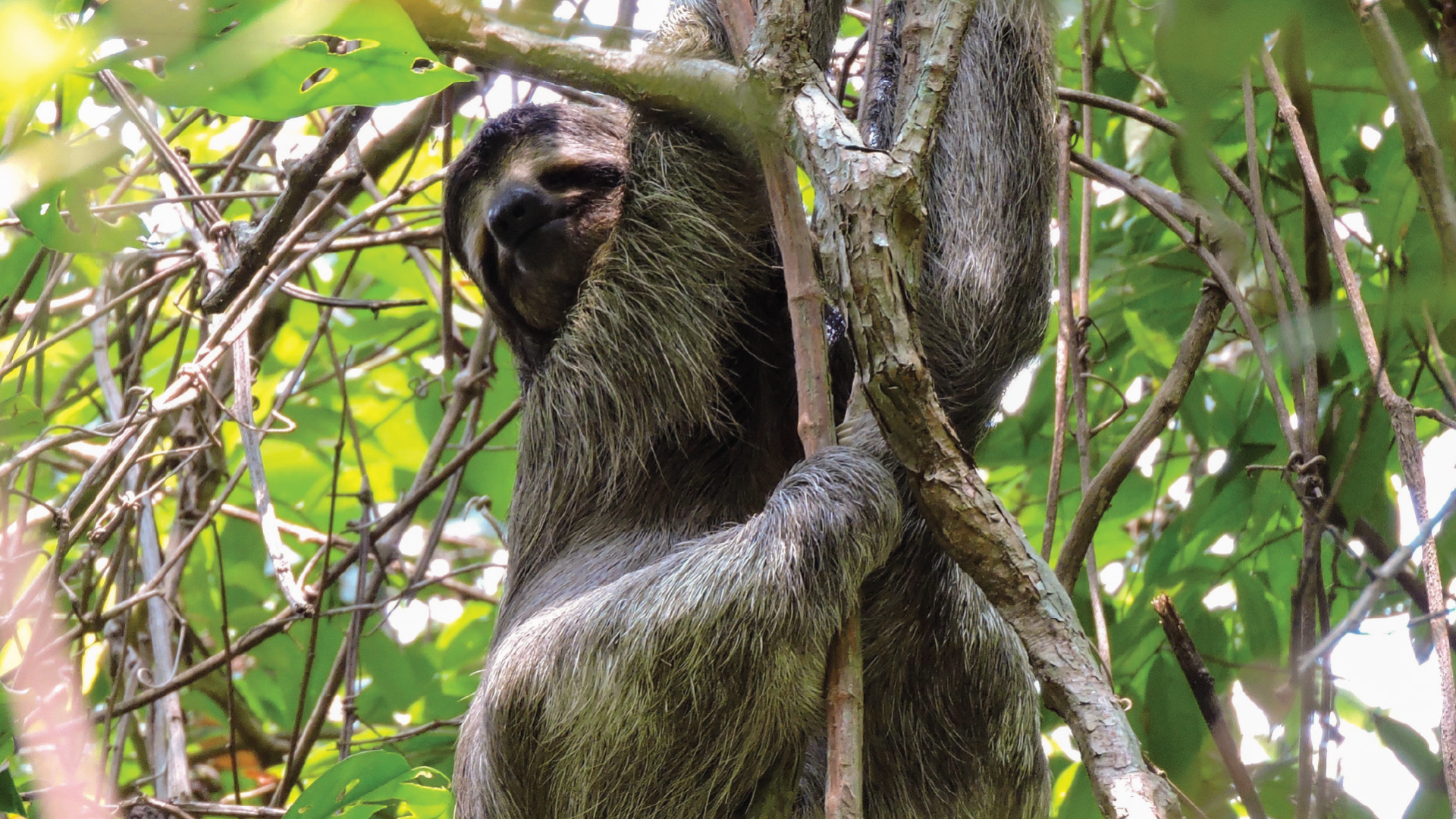 Costa Rica by Zoe Francis