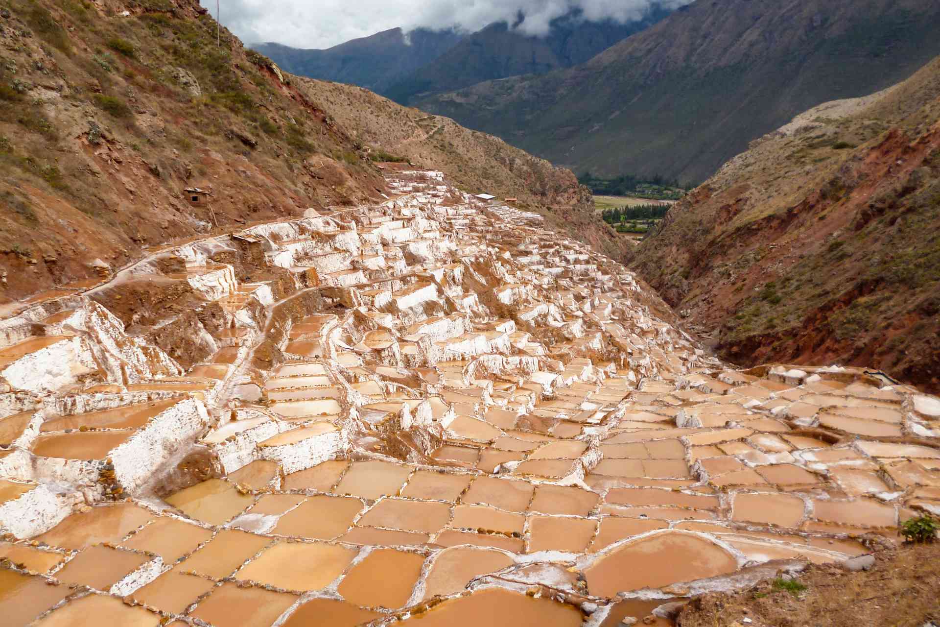 Maras in Sacred Valley, Peru by Chloe Marshman