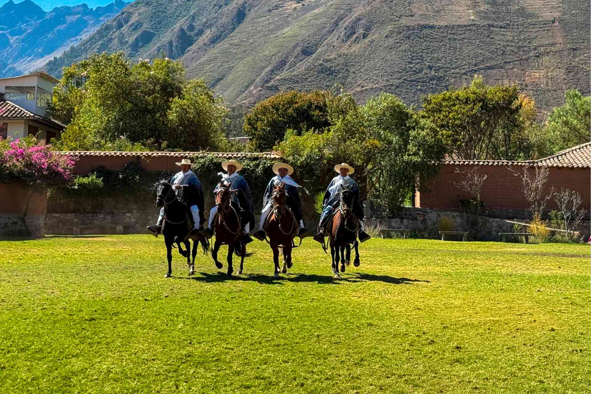 Paso Horse Show, Urubamba, Peru by Deanne Sandler