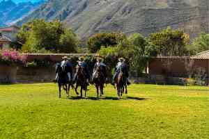 Paso Horse Show, Urubamba, Peru by Deanne Sandler