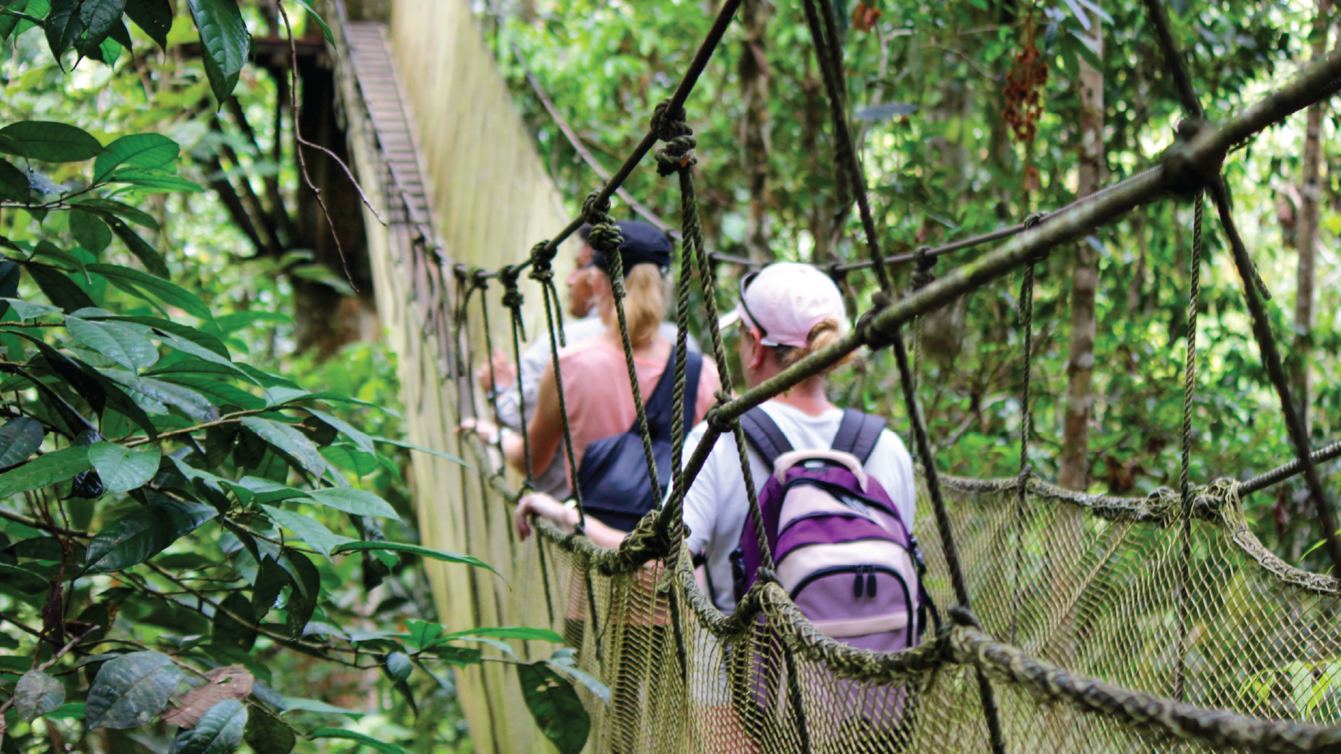 Canopy Walkway in Amazon Jungle, Iquitos, Peru by Emily Fraser