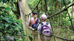 Canopy Walkway in Amazon Jungle, Iquitos, Peru by Emily Fraser