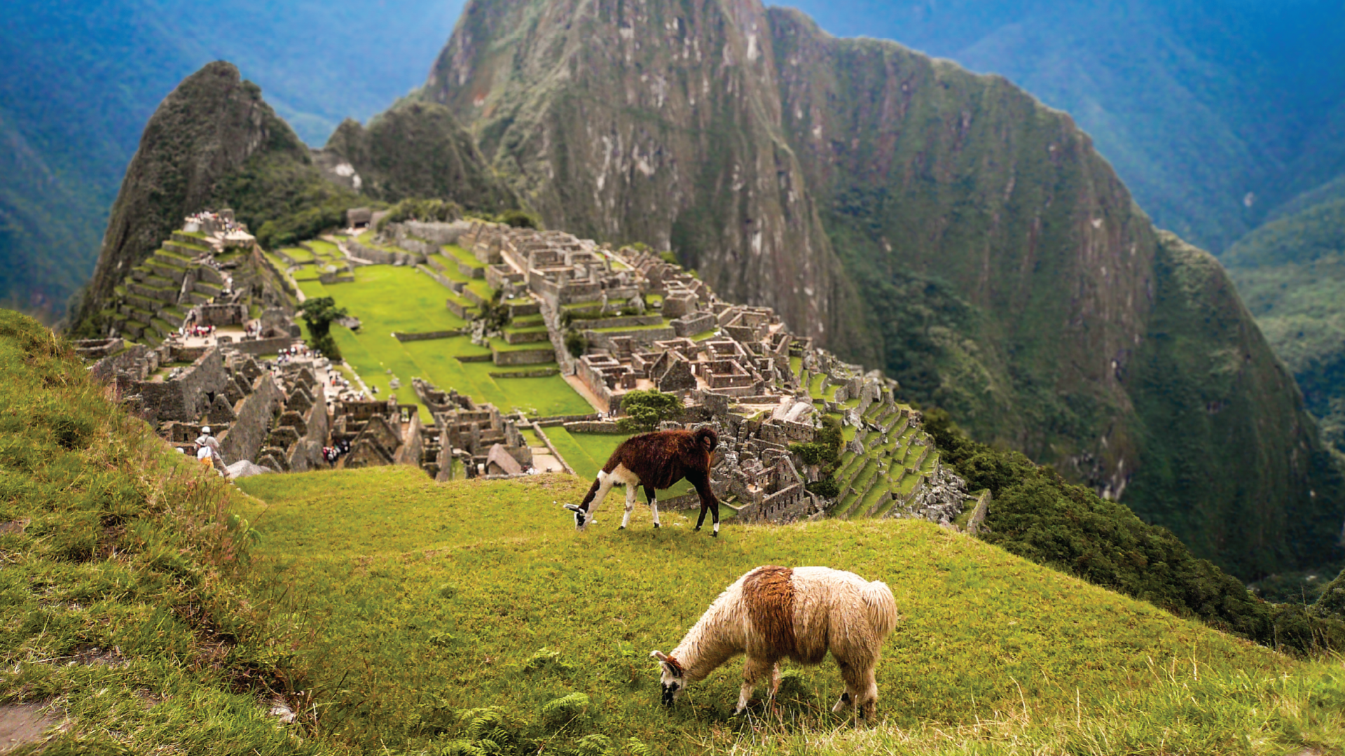Machi Piccu, Peru by Marion Bunnik