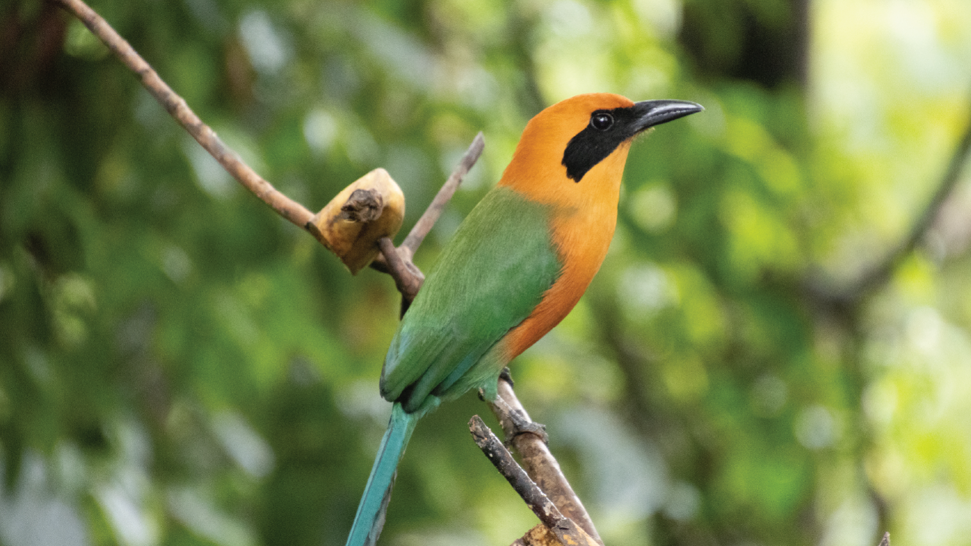 Costa Rica by Annelieke Huijgens
