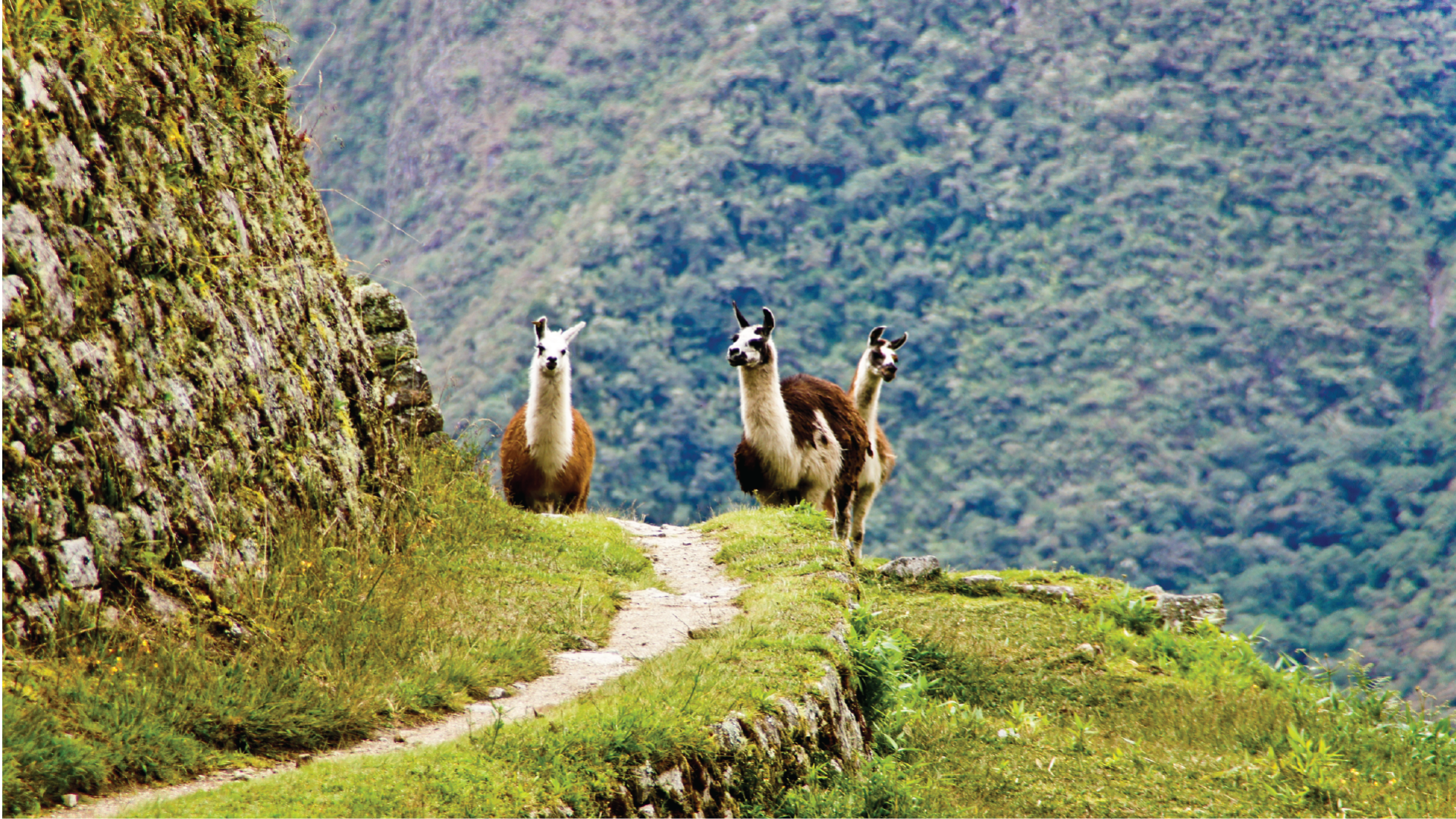 Sacred Valley, Peru by Priscila Aster