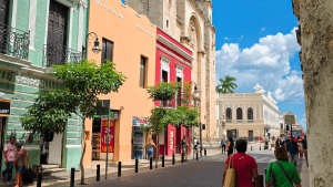 Merida on a Bunnik Tour of Mexico