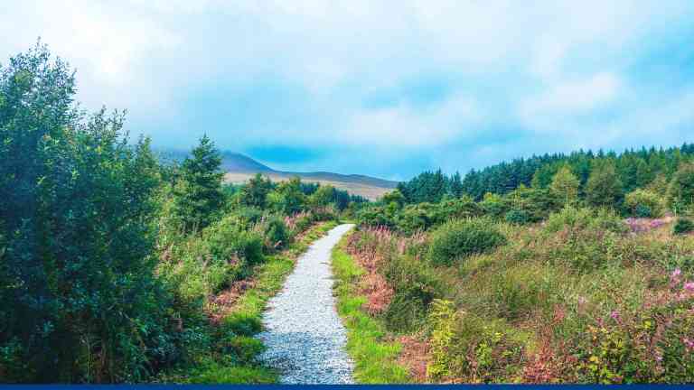 Isle of Skye, Scotland by Rachel McMahon