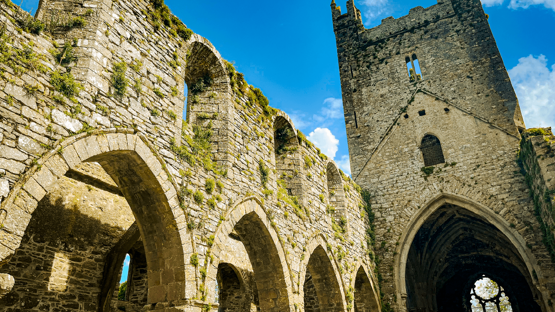 Jerpoint Abbey on a Bunnik Tour of Ireland