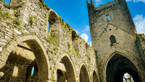 Jerpoint Abbey on a Bunnik Tour of Ireland