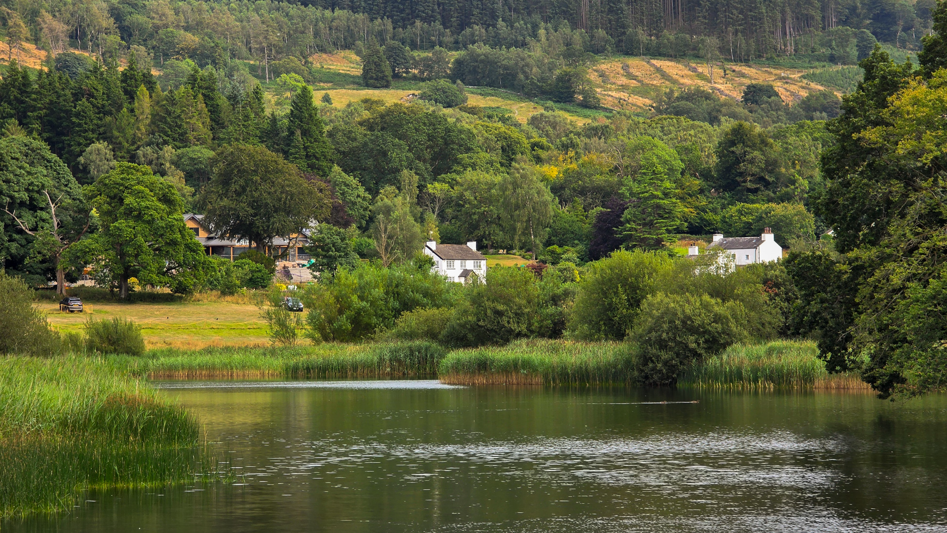 Lakes District, England by Dennis Bunnik
