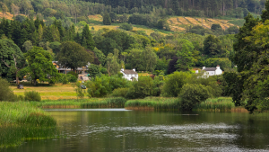 Lakes District, England by Dennis Bunnik