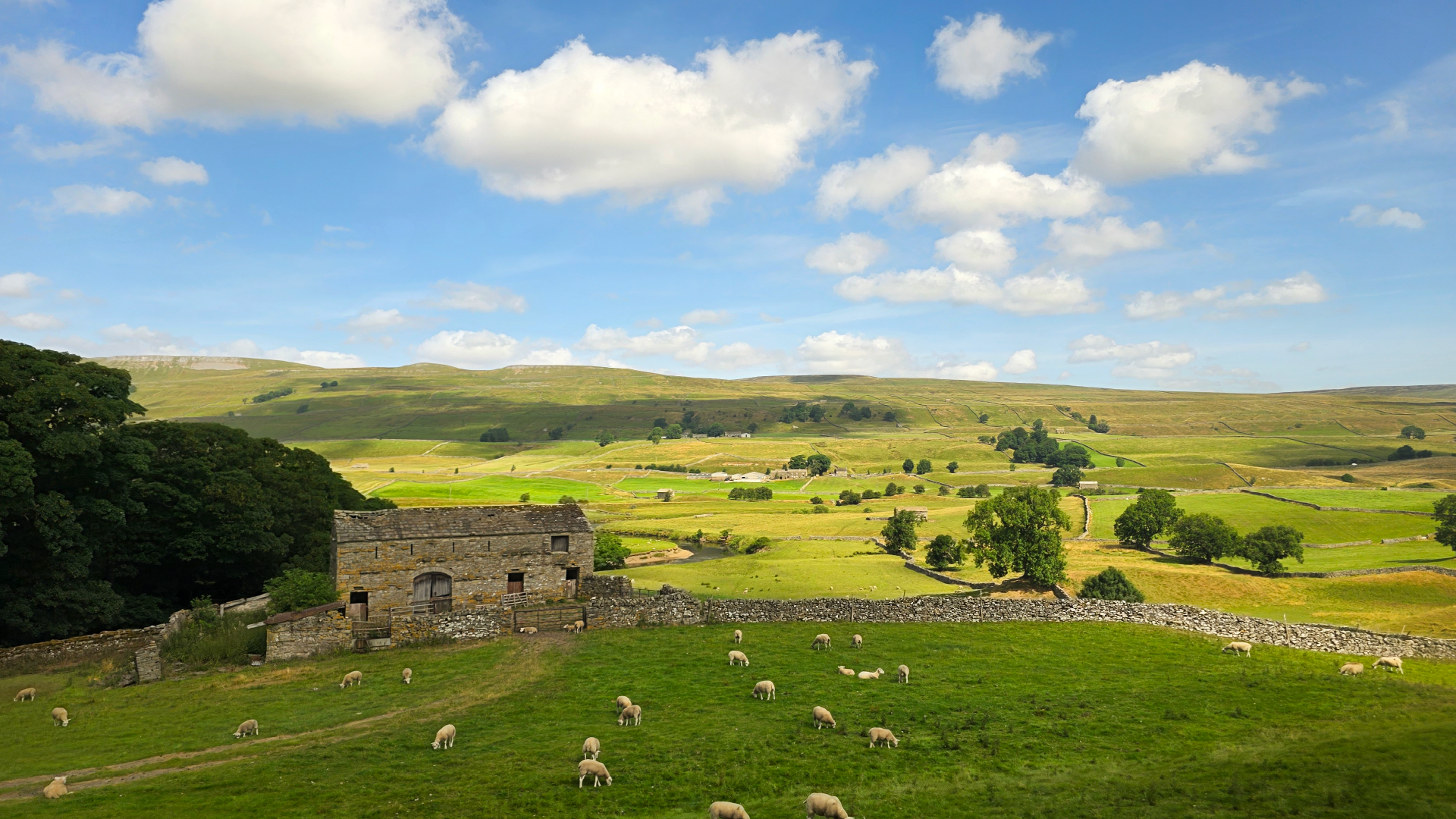 Wensleydale Creamery, Yorkshire, England by Dennis Bunnik