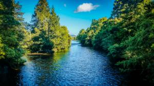 Inverness on a Bunnik Tour of Scotland