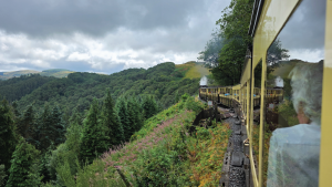 Steam Train, Wales by Dennis Bunnik