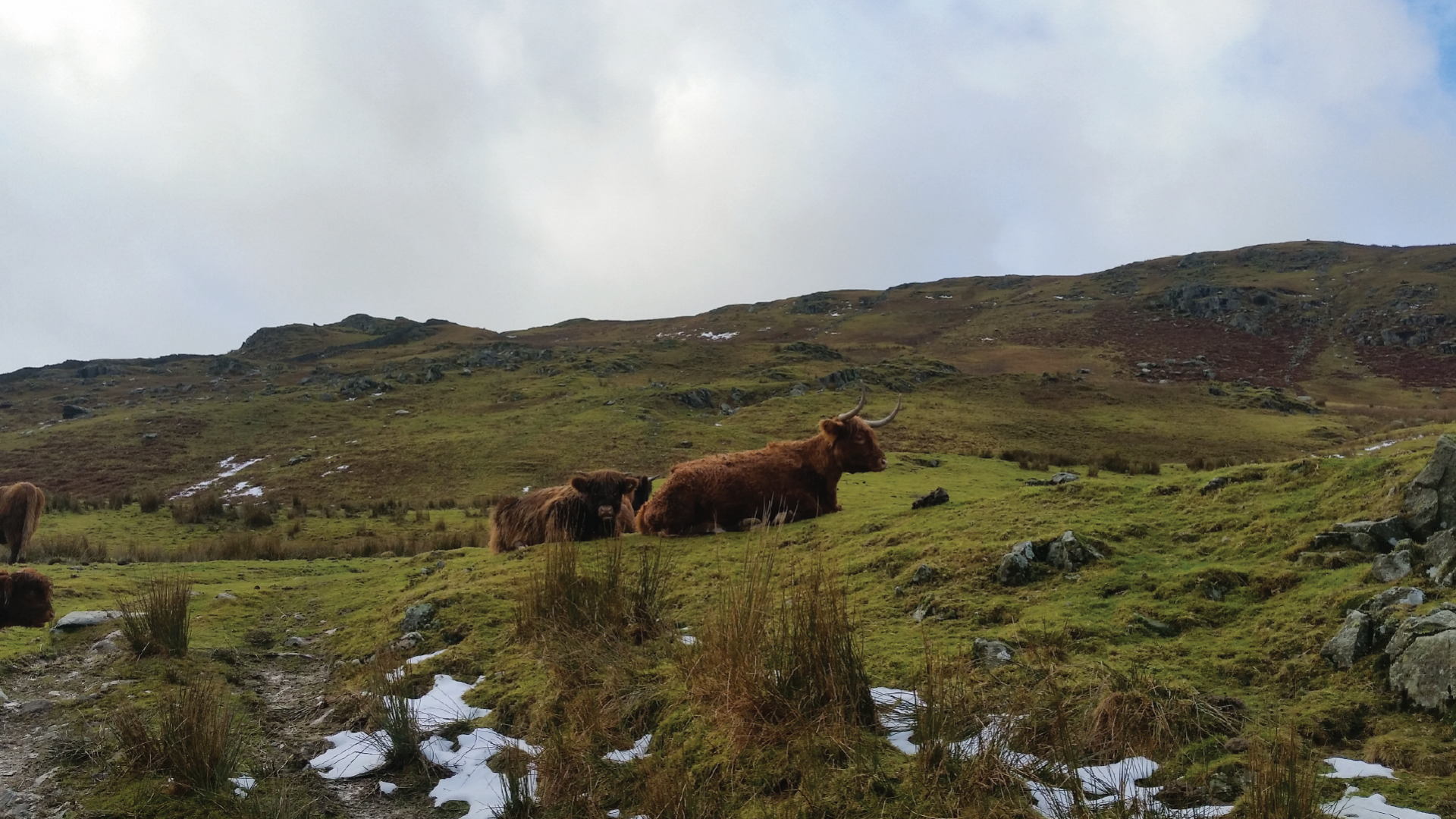 Lake District, England by Rachel McMahon