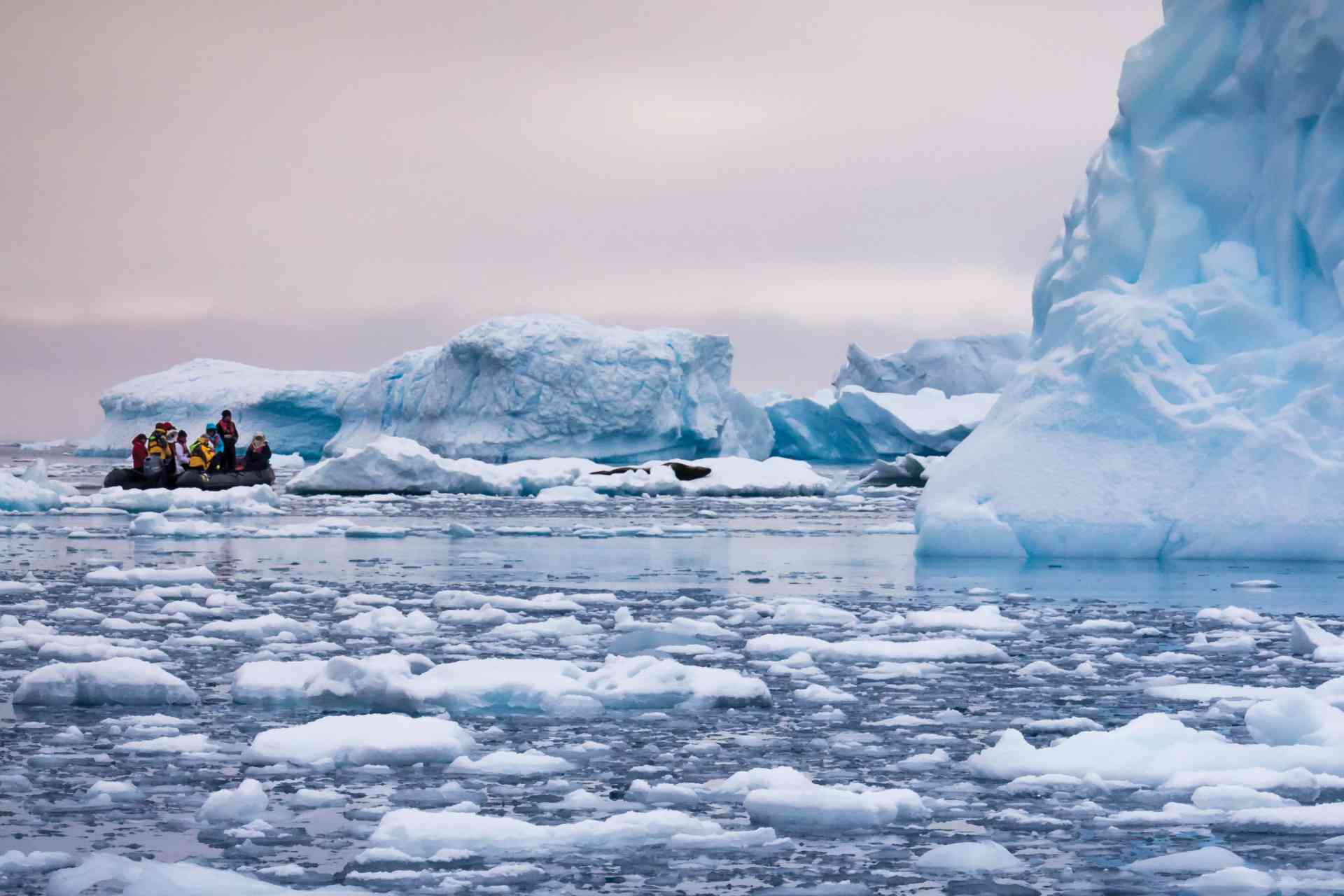 Polar