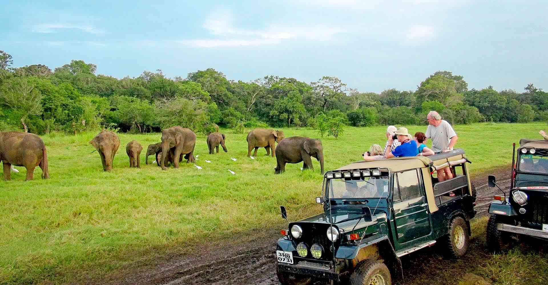 Private Tours