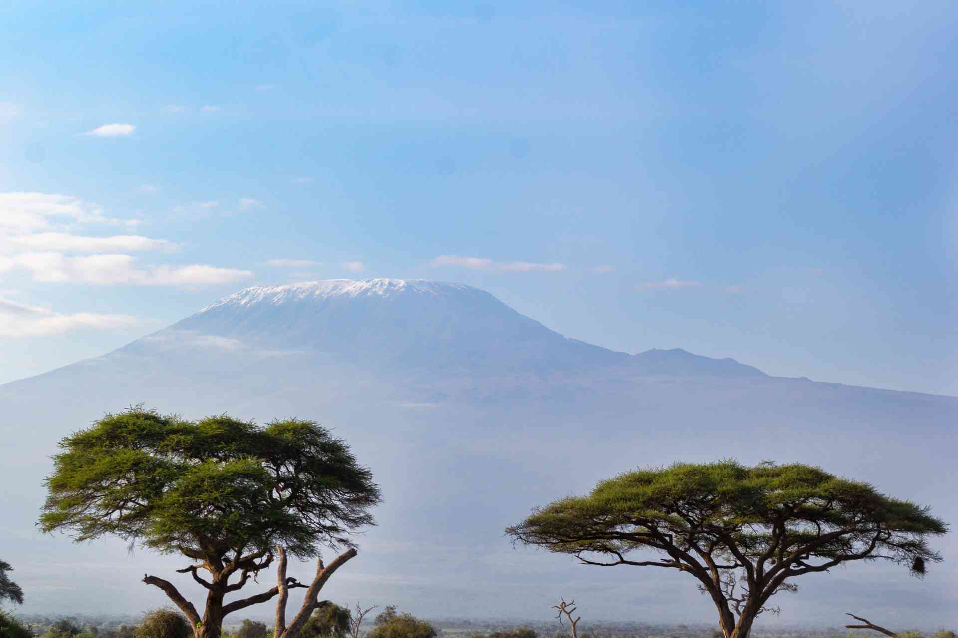 The Greenmanjaro Foundation