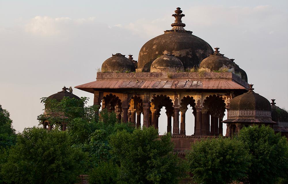 Everything You Need To Know About Ranthambore National Park | Bunnik Tours