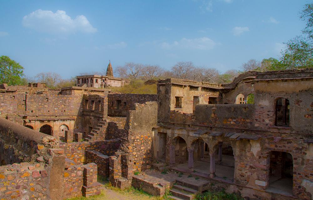 Everything You Need To Know About Ranthambore National Park | Bunnik Tours