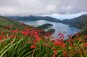Visiting the Azores Islands: 5 Highlights Not to Miss
