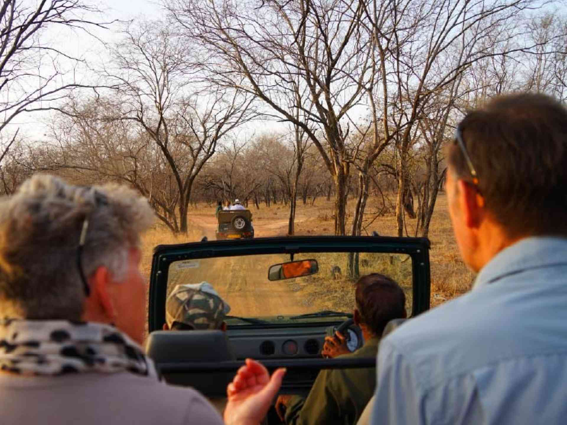 Two people in a safari vehicle in Ranthambore National Park, India