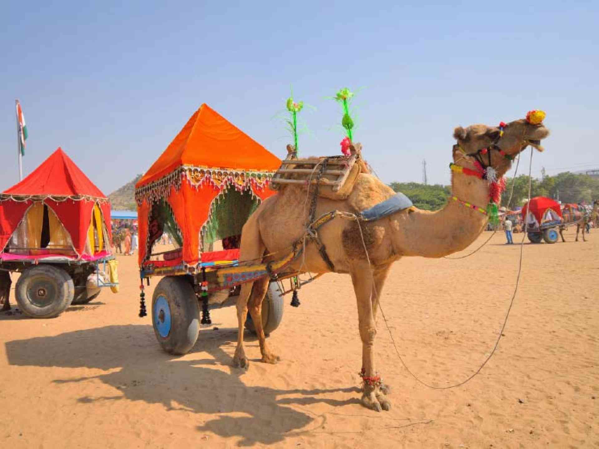 Pushkar Festival